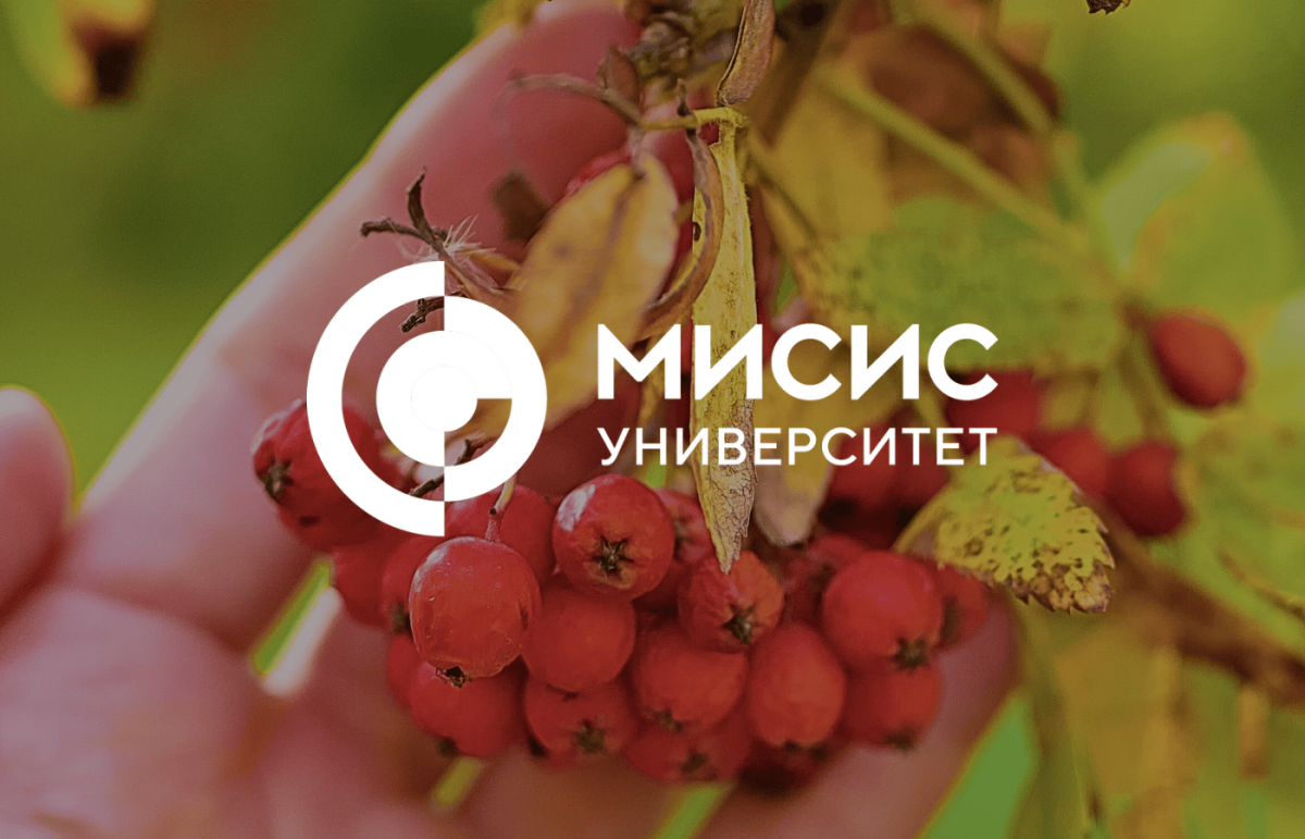 Натуристы Дети 